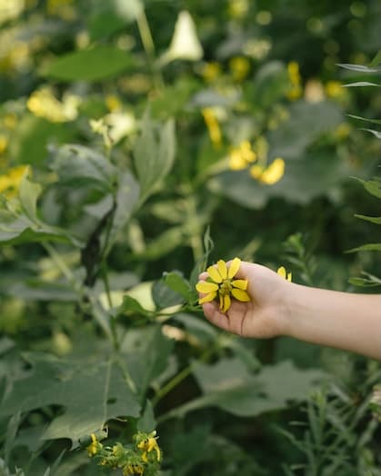 By and By Kids — kid portrait